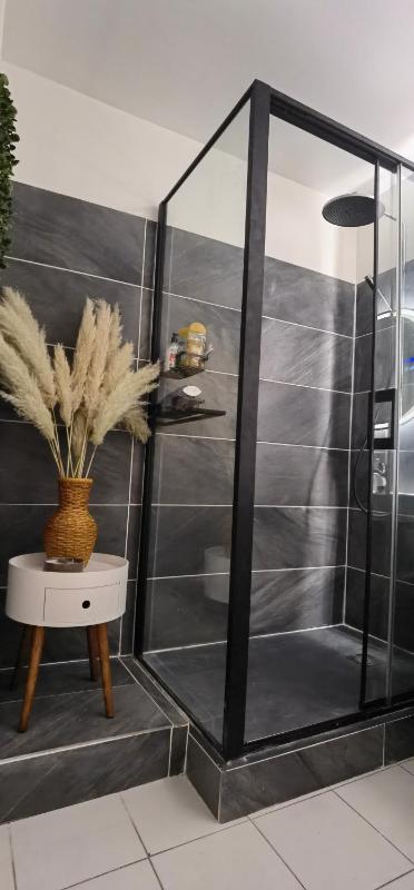 Oasis T3 centre ville jardin privé - image 21