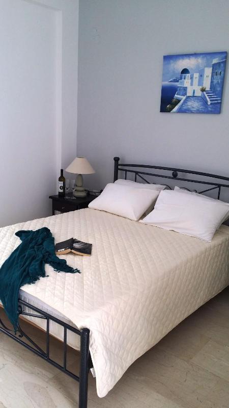 Double or Twin Room image 4