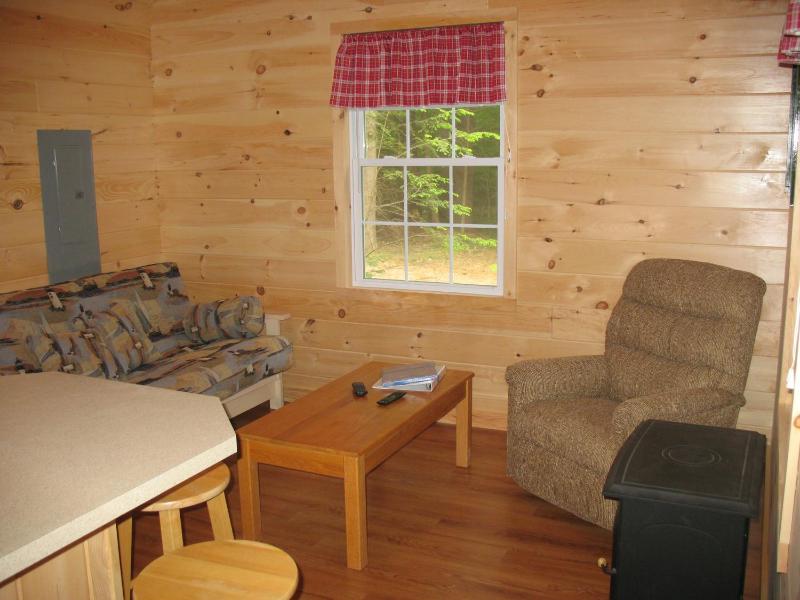 Pickerel Cabin - Pet Friendly image 4