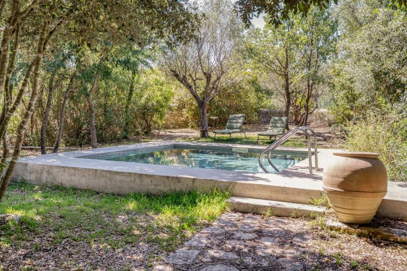 Villa Manghisi immersa nel verde - image 32