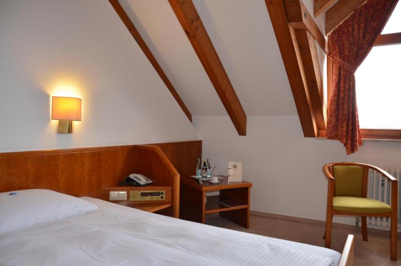 Business Single Room image 2