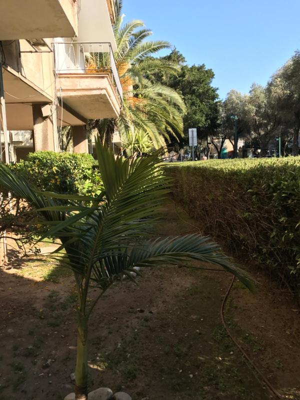 Ben Gurion 83 - image 6
