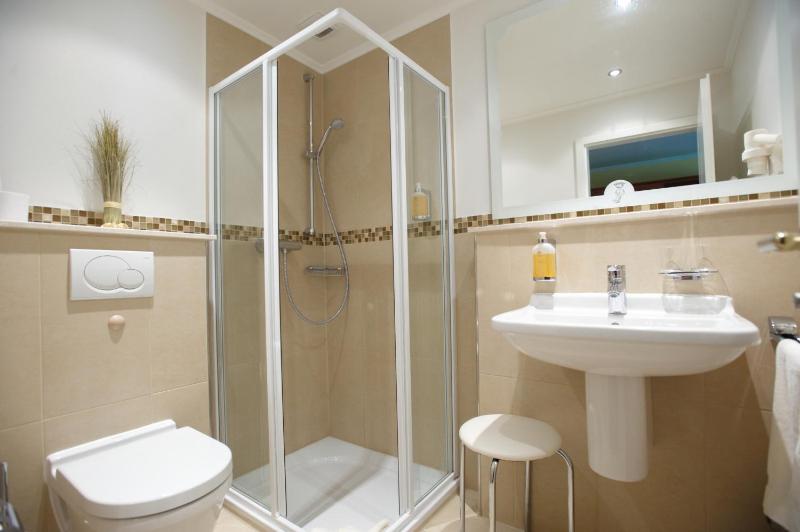Single Room image 3