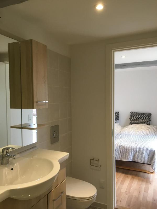 Studio Apartment image 4