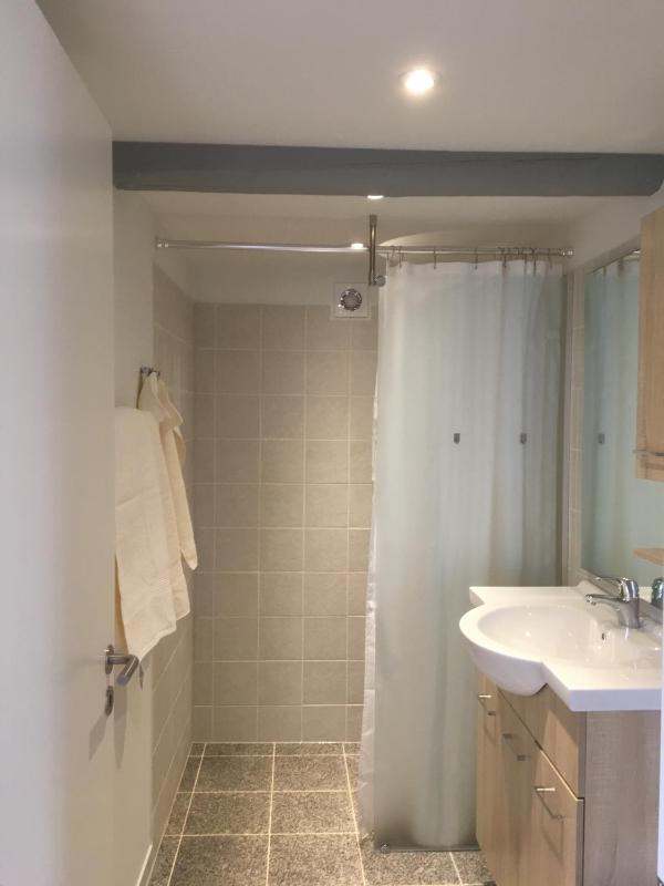 Studio Apartment image 3