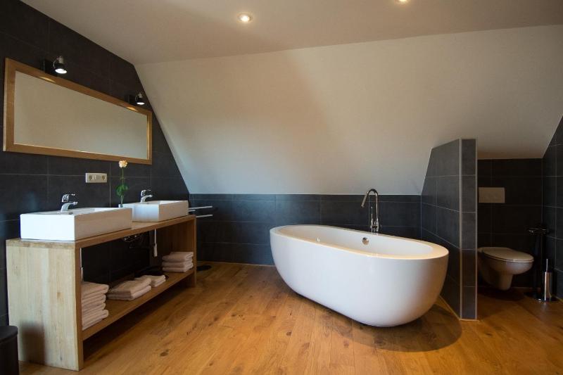 Deluxe King Suite image 2
