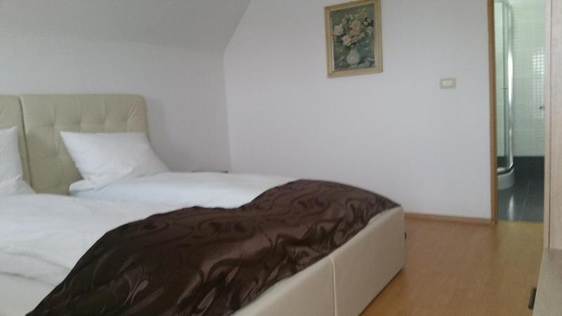 Double or Twin Room image 4