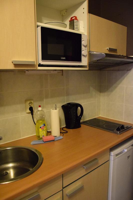 One-Bedroom Apartment image 3