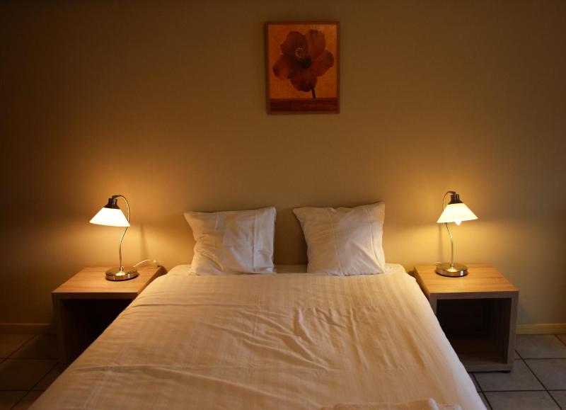 Executive Apartment image 4