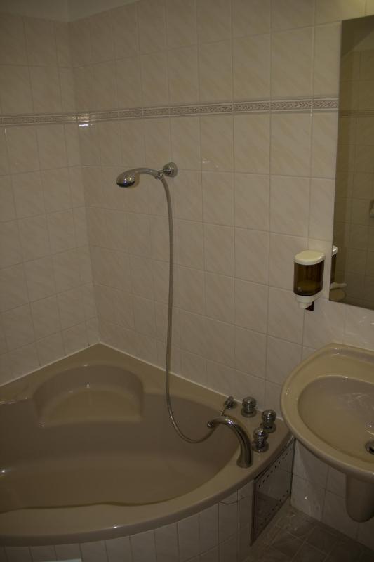 Deluxe Double Room image 4