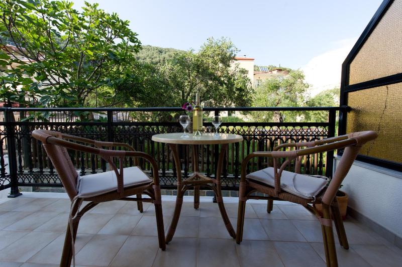 Double or Twin Room with Mountain View image 3