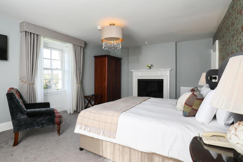 Deluxe King Room image 4