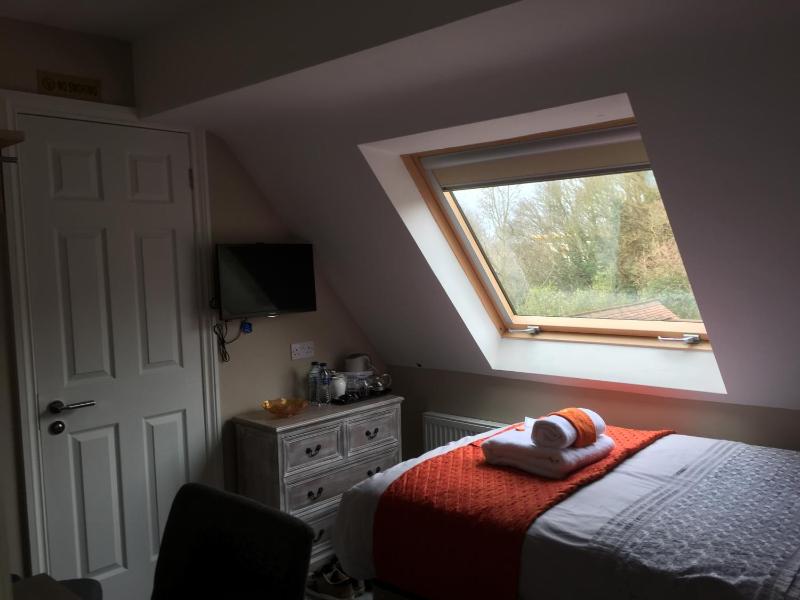 Business Single Room image 2