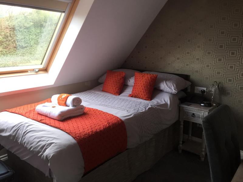 Business Single Room image 3