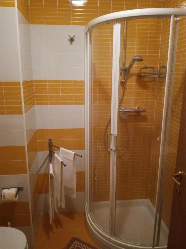 Large Single Room image 3