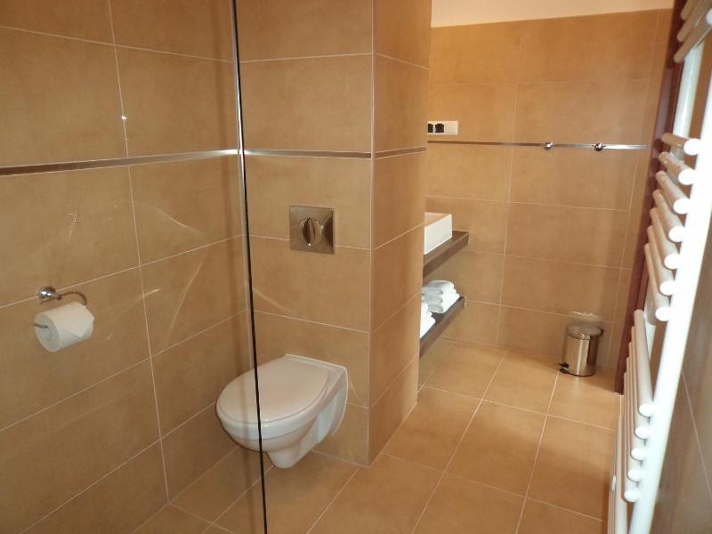 Premium Single Room image 3