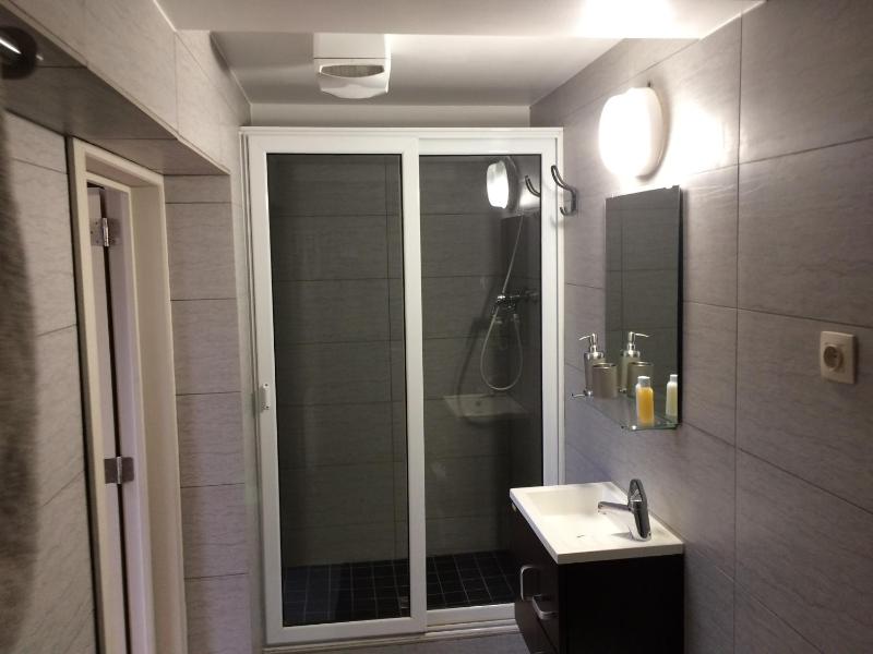 Apartment - Split Level image 4