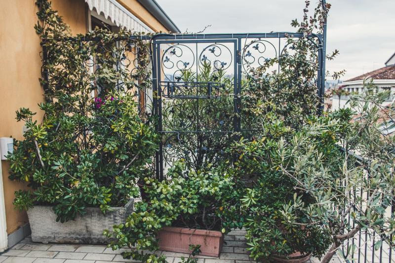 Alla Terrazza Apartment - image 8