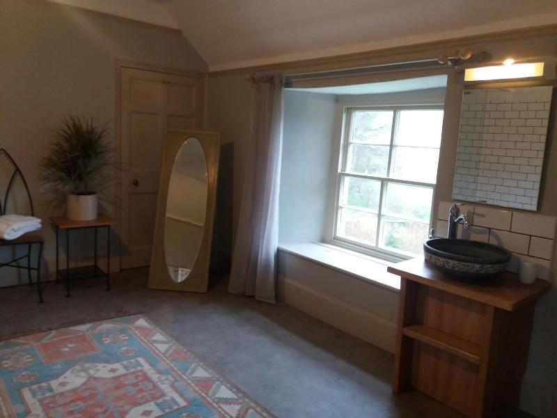 Deluxe Double or Twin Room image 3