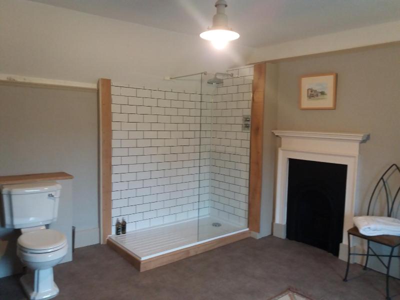 Deluxe Double or Twin Room image 2