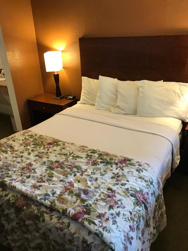 Deluxe Single Queen Room image 1