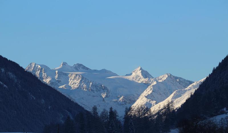 One-Bedroom Apartment image 4