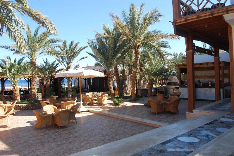 Acacia Dahab Hotel - image 22