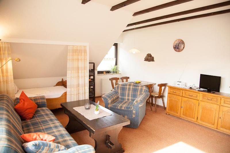 One-Bedroom Apartment image 2