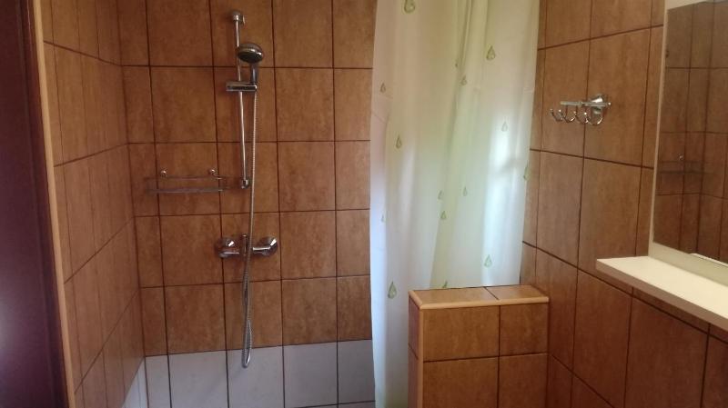 One-Bedroom Apartment image 2
