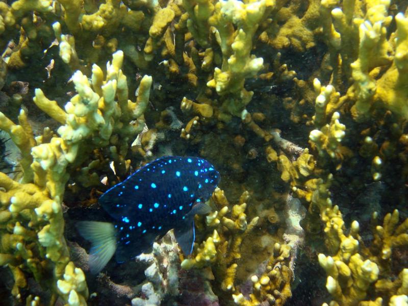 Pousada Sabrinna - image 26