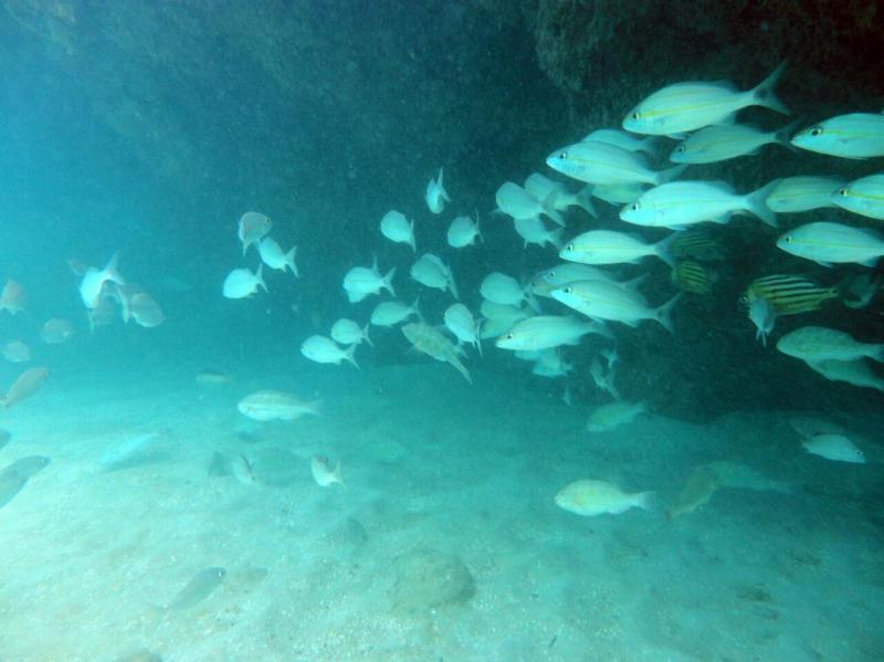 Pousada Sabrinna - image 11