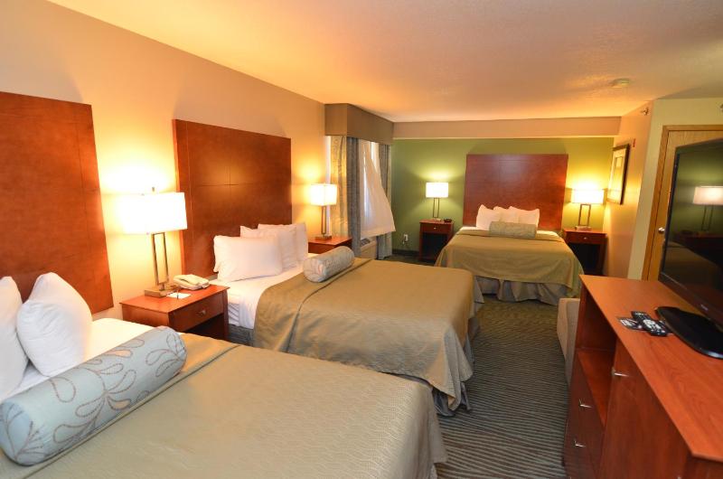 Superior Queen Room - Non-Smoking image 4