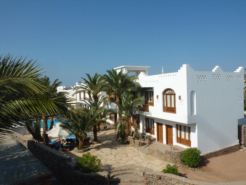 Dahab Divers - image 7