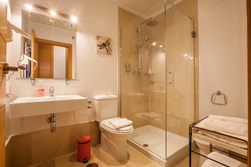 One-Bedroom Apartment image 4
