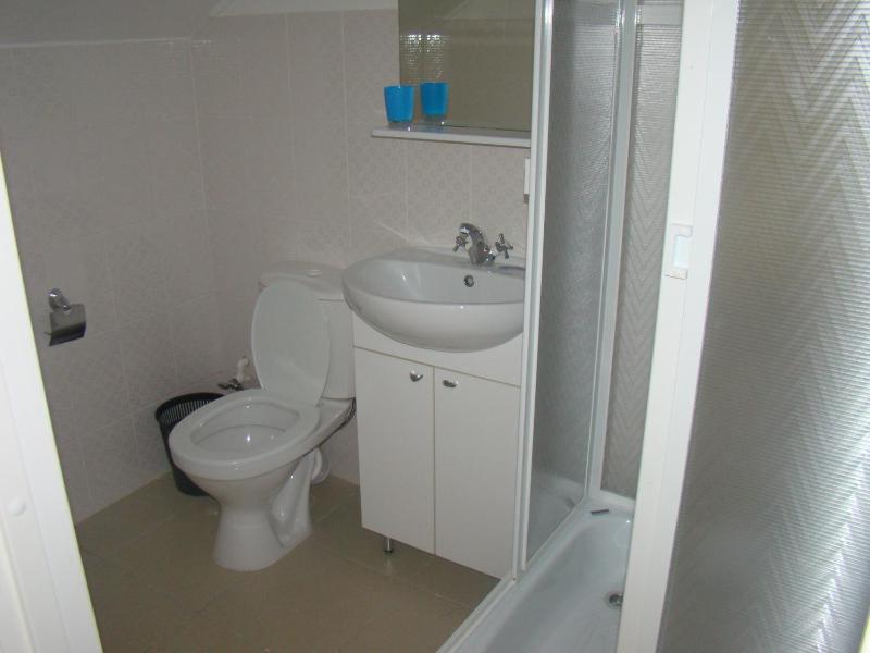 Family Room with Shower image 3