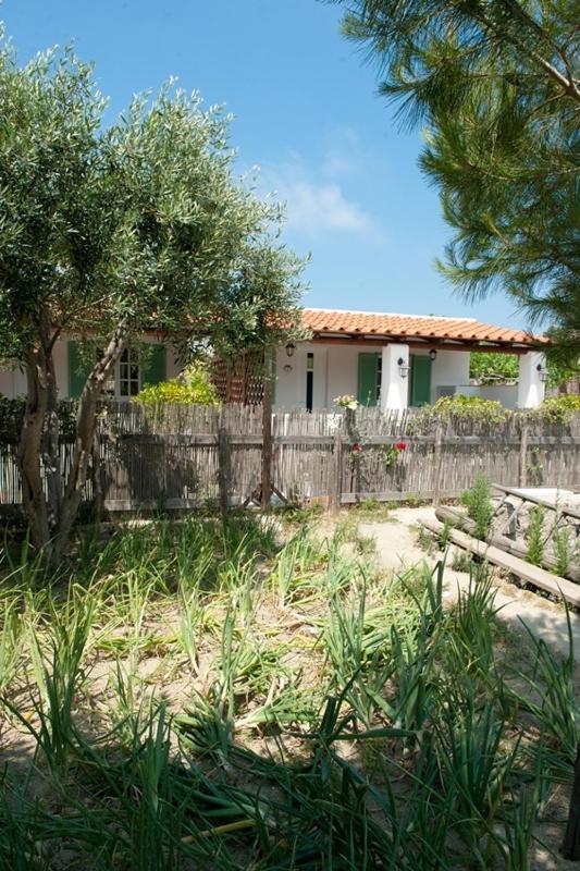 Residence Le Vigne - image 39
