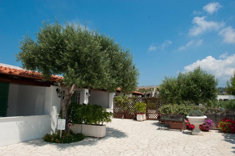 Residence Le Vigne - image 16