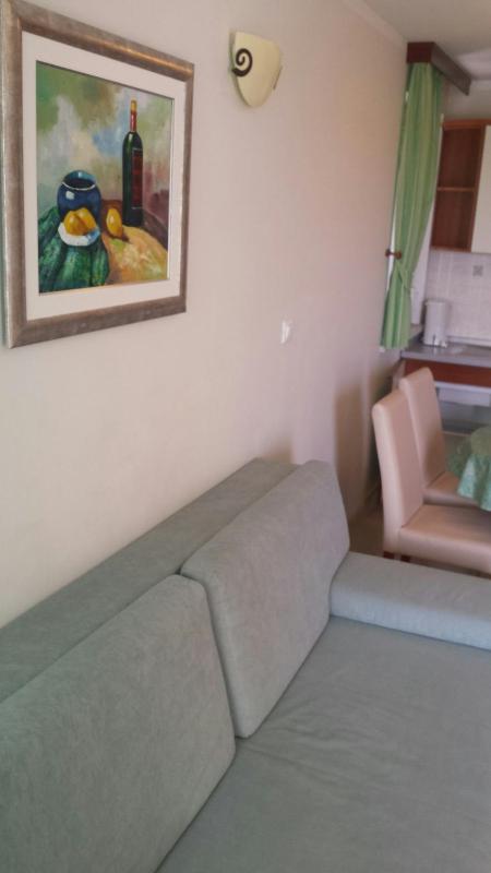 One-Bedroom Apartment image 4