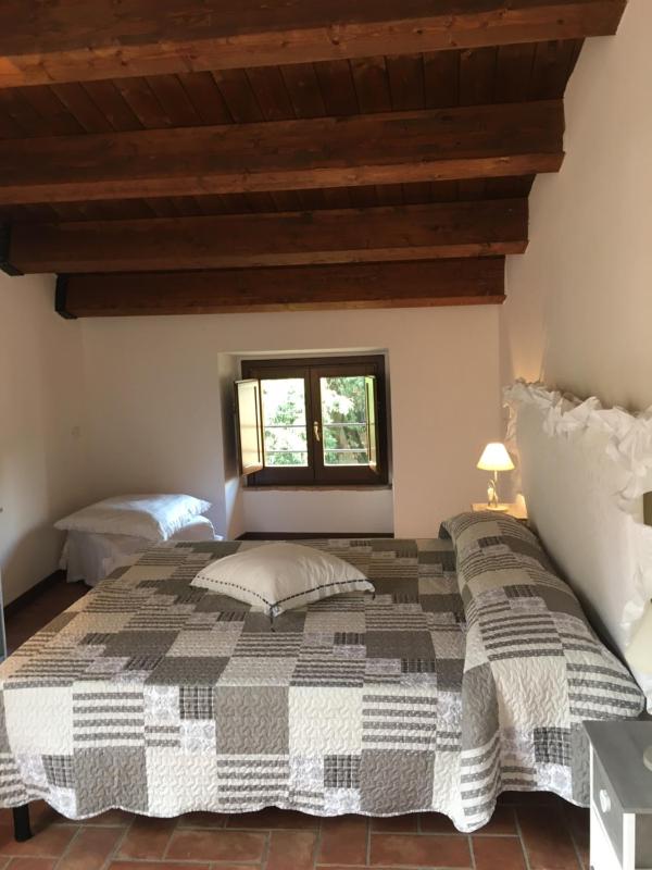 Double or Twin Room image 3