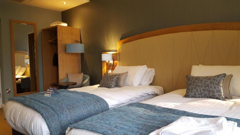 Standard Twin Room image 3