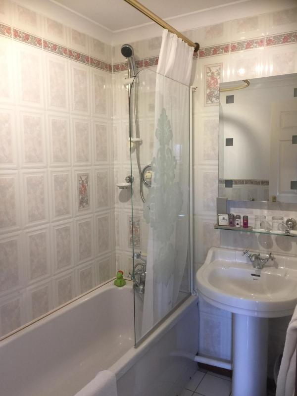 Superior Double Room image 4