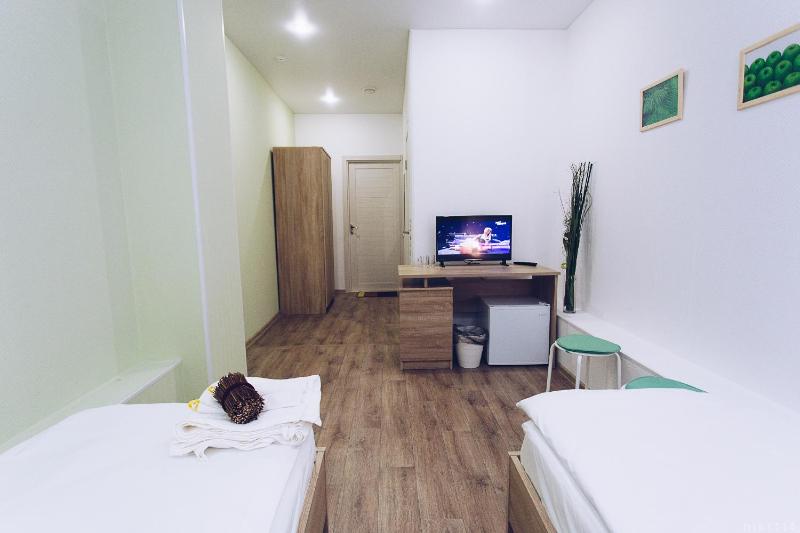 Standard Twin Room image 3