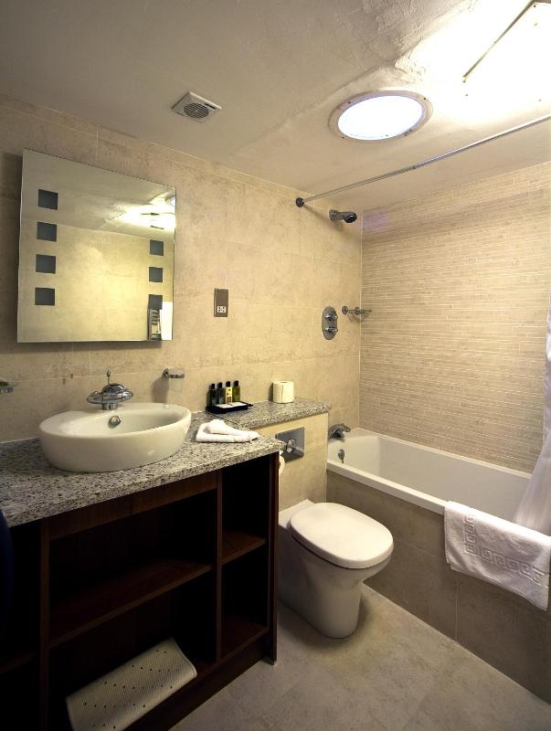 Standard Room image 4