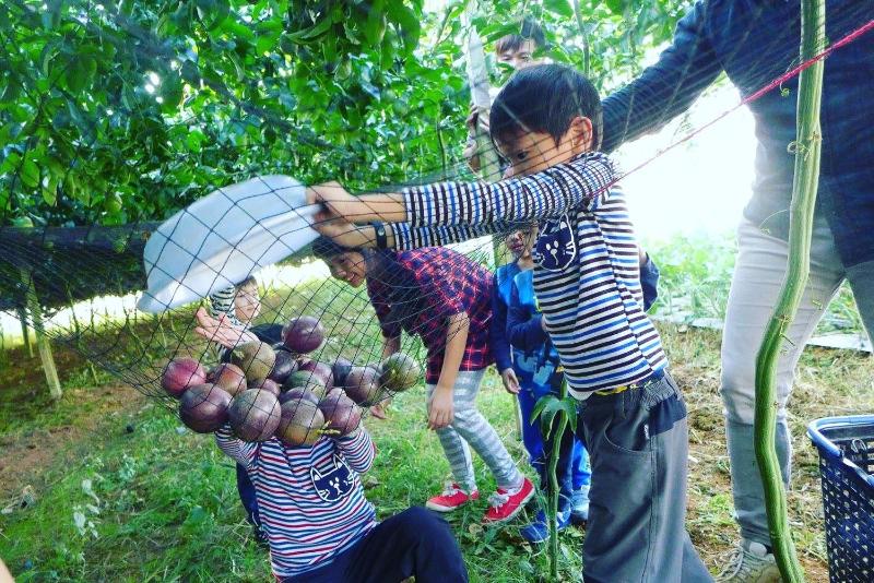Songfeng Xiuxian Homestay - image 40