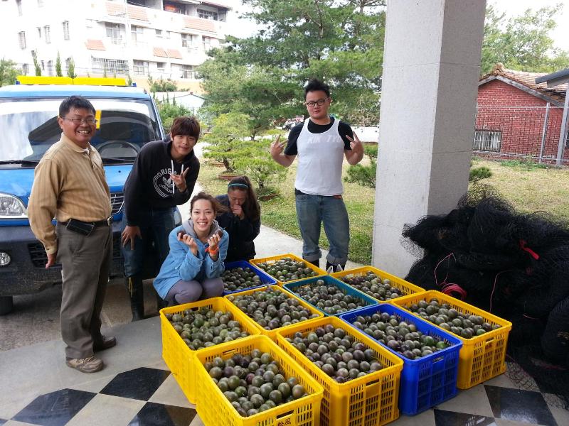 Songfeng Xiuxian Homestay - image 25