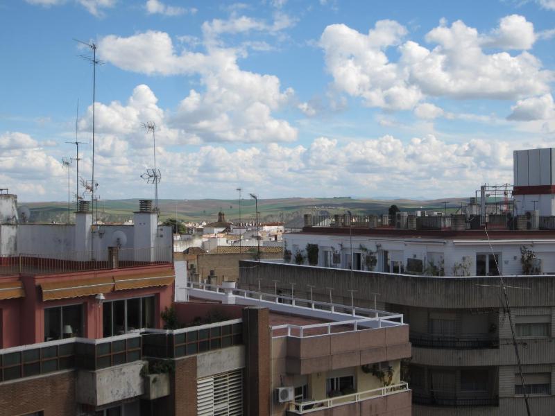 Wallada Centro - image 36