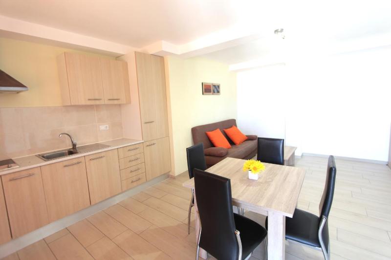 One-Bedroom Apartment image 2