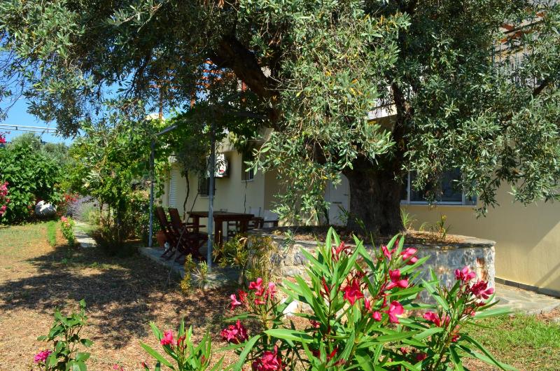Villas Zoe - image 24
