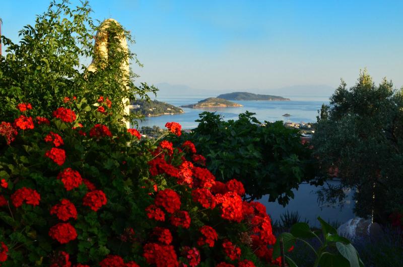 Villa with Sea View image 3