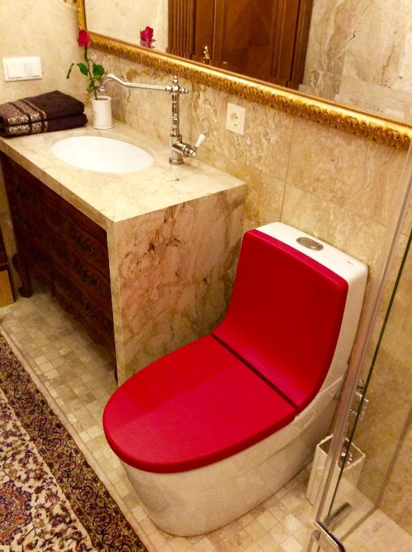 Luxury Pilies Avenue Apartment - image 2